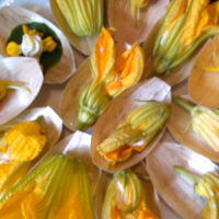 Courgettebloem