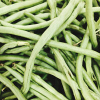 Stambonen groen of paars