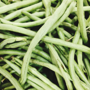 Stambonen groen of paars
