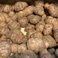 Aardpeer