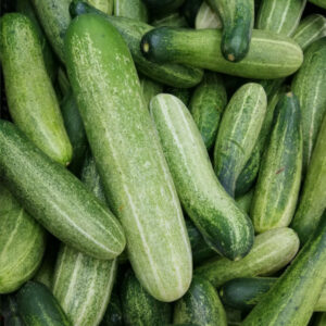 Courgettes groen