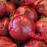 Uien rood of geel