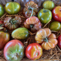 Bijzondere tomaten groot